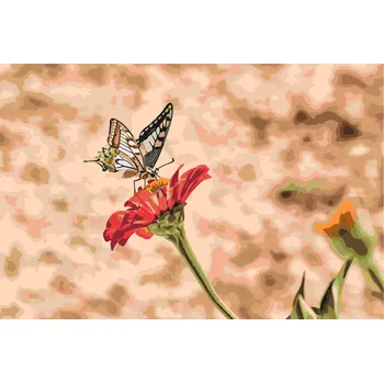 Malování podle čísel - Motýl na červeném květu 2 Velikost: 40x60cm, Rámování: Pouze srolované plátno