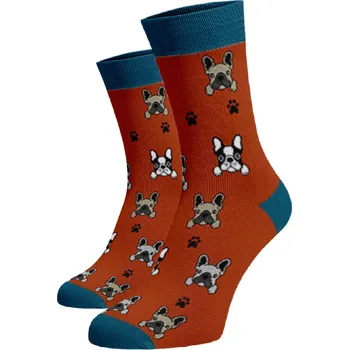 Dámské ponožky Veselé ponožky Buldoček Oranžová Bavlna 39-41