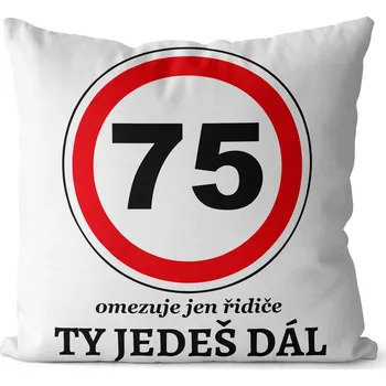 Dekorativní polštářek Polštář 40 x 40 cm - 75 - Ty jedeš dál