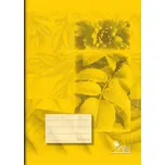 Notes Economy A5/523 20 listů linkovaný…