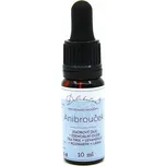 Delibutus Antibrouček 10 ml