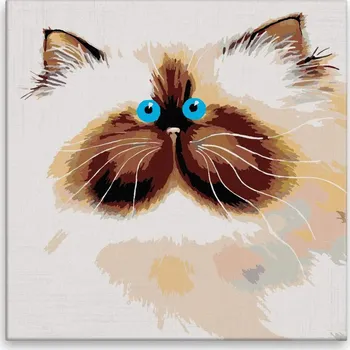 Malování podle čísel - Modrooký chlupáč - 40x40 cm, bez dřevěného rámu - CZ výroba