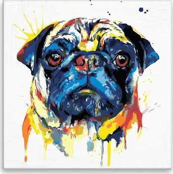 Malování podle čísel - Smutný mopsík v barvách - 40x40 cm, bez dřevěného rámu - CZ výroba