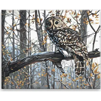 Dětské zboží Malování podle čísel - Sova na větvi - 50x40 cm, bez dřevěného rámu - CZ výroba