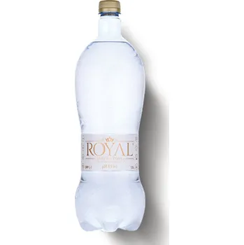 Voda Royal Water Daily Ion Water 1,5 l