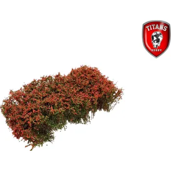 Plastikový model Titans Hobby Shrubbery cm.15x15 Lenght 15mm - Blooming Pink