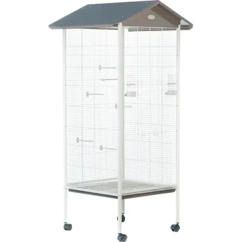 Zolux Arabesque Jade