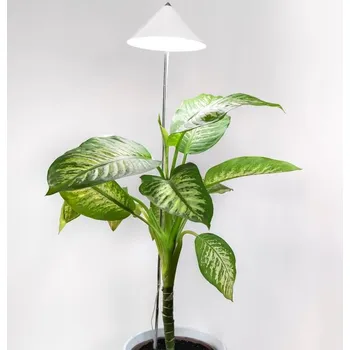 Lampička PARUS SUNLiTE XL 25W bílá