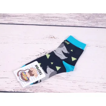 Chlapecké oblečení Ponožky TREPON FÍK se psem bambusové velikosti ponožek: 16-18 ( EUR vel. 24-27)