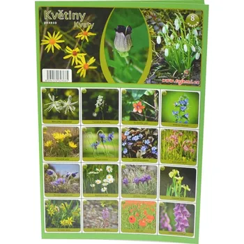 Pexeso Tojemi Pexeso květiny