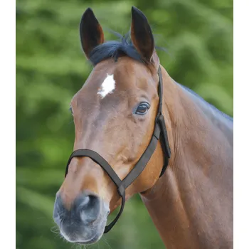 Jezdectví Pastevní ohlávka (bez kovových částí) černá (Pony)