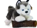 Rappa Plyšový husky 20 cm 