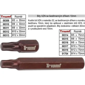 Bit Bit XZN M 5 se šestihranným dříkem 10mm, délka 30mm