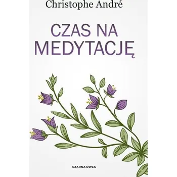 Czas na medytację - Christophe Andr