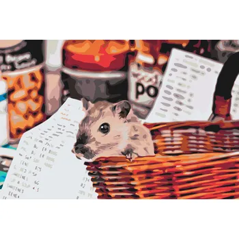 Malování podle čísel - Křeček na nákupu Velikost: 40x60cm, Rámování: Pouze srolované plátno