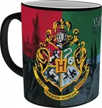 Magic Box Fanstyle 295 ml Harry Potter:…