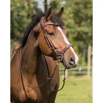 QHP Uzdečka Devi QHP, hnědá COB