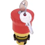 Pizzato Elettrica E21PEBZ4531