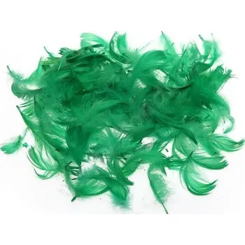 Dekorace - pírka, různé barvy 10 g Barva: tmavě zelená