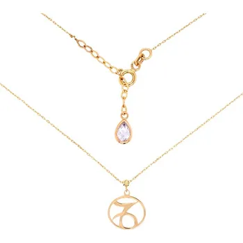 Šperk Zlaté znamení Kozoroh přívěsek + řetízek