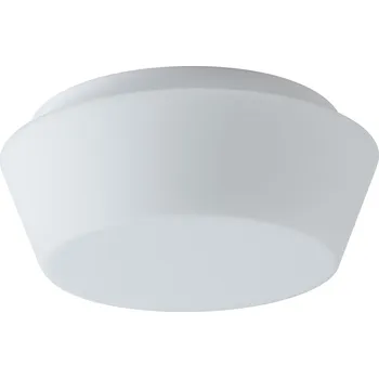 Stropní svítidlo a nástěnné svítidlo - stropní svítidlo bílý matný nástěnný průměr 22 cm IP 43 E27