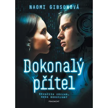 Kniha Dokonalý přítel - Naomi Gibson, Naomi Gibsonová (E-Kniha)