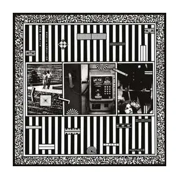Zahraniční hudba LP New Berlin: Basic Function 2019