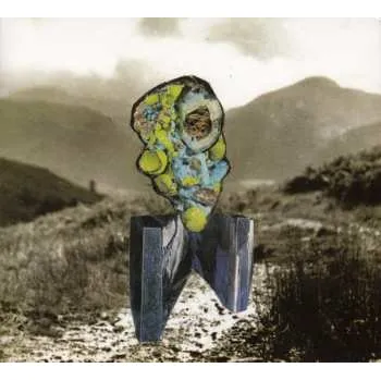 Zahraniční hudba CD Richard Dawson: The Glass Trunk 2015