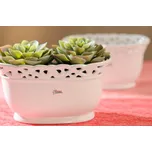 Paramit KRAJKA Žardinka 24 cm bílá