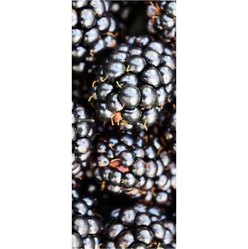 Fototapeta LuxusniObrazy.cz Fototapeta na dveře - Ostružiny