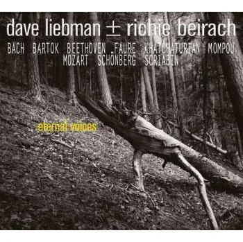 Zahraniční hudba 2CD David Liebman / Richard Beirach: Eternal Voices 2019