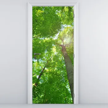 Fototapeta LuxusniObrazy.cz Fototapeta na dveře - Les