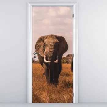 Fototapeta LuxusniObrazy.cz Fototapeta na dveře - Příchod slona
