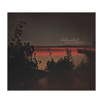 Zahraniční hudba CD Darshan Ambient: Little Things 2014