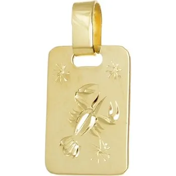 Přívěsek Přívěšek znamení Rak ze žlutého zlata ZZ0805RAKMZLF + dárek zdarma