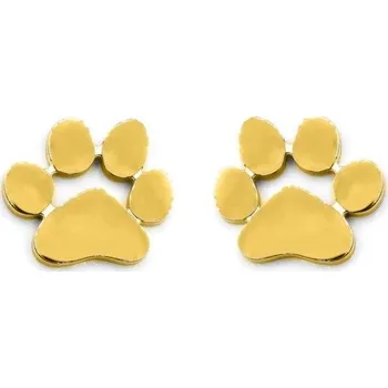 Náušnice Náušnice kočičí tlapka - chirurgická ocel - zlaté
