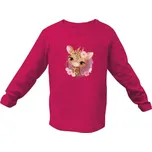 Tričko s potiskem Koloušek dětské