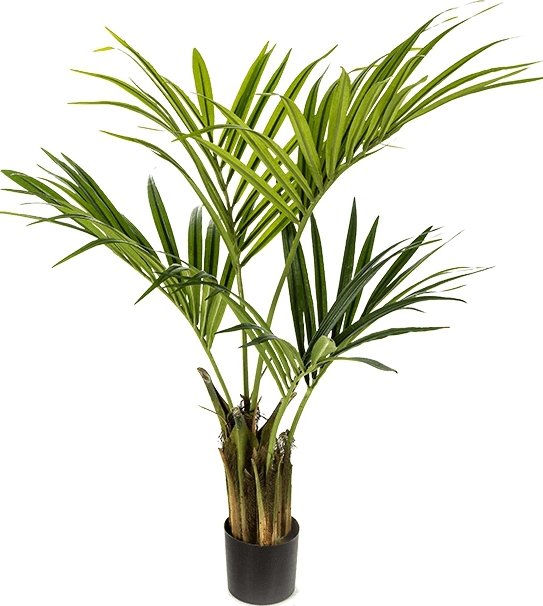 Umělá Kentia 78 listů 110cm - Stín