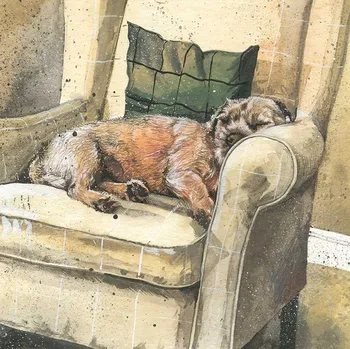 Přání v obálce Walter, Pejsci od ALEX CLARK 14*14 cm (Blahopřání s pejskem, psi)