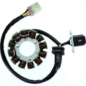 Motodíl Stator alternátoru Electrosport Suzuki RM-Z 250 2008 - 2009