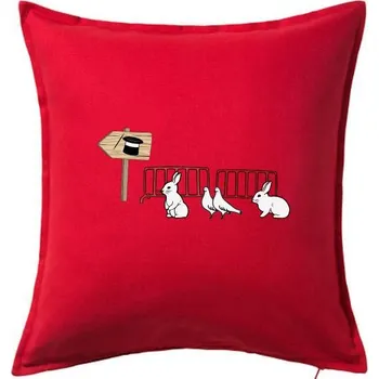 Polštář Kouzelný klobouk fronta - Polštář 50x50 - 50x50 - Pouze potah ( Červená )