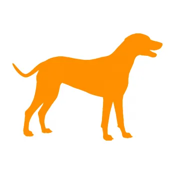 Polep vozidla SAMOLEPKA Pes 095 pravá Dalmatin (06 - oranžová) NA AUTO, NÁLEPKA, FÓLIE, POLEP, TUNING, VLASTNÍ TEXT, TISK, AUTOSAMOLEPKY.cz, POLEPY, OBRÁZEK, LOGO, SAMOLEPKY