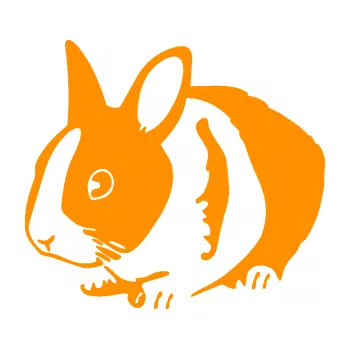 Samolepící dekorace SAMOLEPKA Králík 002 levá zakrslý králíček (06 - oranžová) NA AUTO, NÁLEPKA, FÓLIE, POLEP, TUNING, VLASTNÍ TEXT, TISK, AUTOSAMOLEPKY.cz, POLEPY, OBRÁZEK, LOGO, SAMOLEPKY