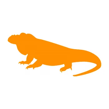 Samolepící dekorace Leguán 001 levá (06 - oranžová) SAMOLEPKA NA AUTO, NÁLEPKA, FÓLIE, POLEP, TUNING, VLASTNÍ TEXT, TISK, AUTOSAMOLEPKY.cz, POLEPY, OBRÁZEK, LOGO, 3D STICKERS