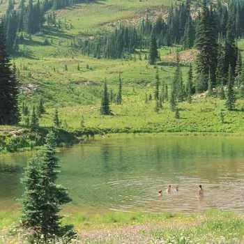 Zahraniční hudba LP Skirts: Great Big Wild Oak CLR 2021 Download Code Coloured Milky Clear Vinyl