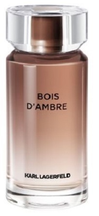 Karl Lagerfeld Bois dAmbre M EDT 100 ml od 480 Kč Zbozi cz