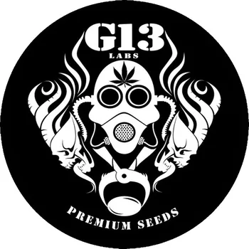 Semeno G13 Labs Pineapple Express #2 5ks (Feminizovaná semena Pineapple Express #2 5ks)