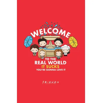 Plakát Plakát, Obraz - Friends - Welcome to the real world