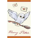 Dětský ručníček Harry Potter Sova Hedvika 30x50 cm