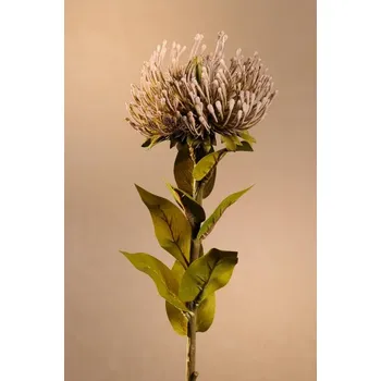 umělá květina Paramit DRY PROTEA Aranžovací květina modrá 73 cm